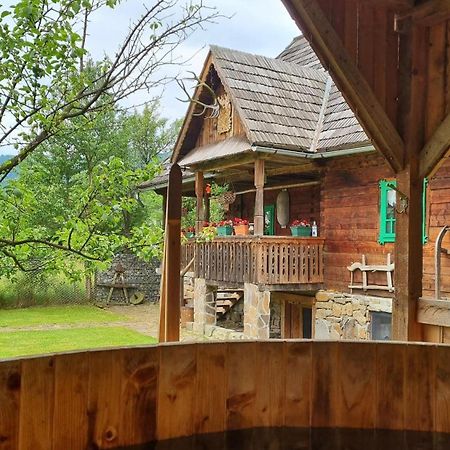 Pajisti Verzi / Green Meadows Guest House Vişeu de Sus Exterior foto