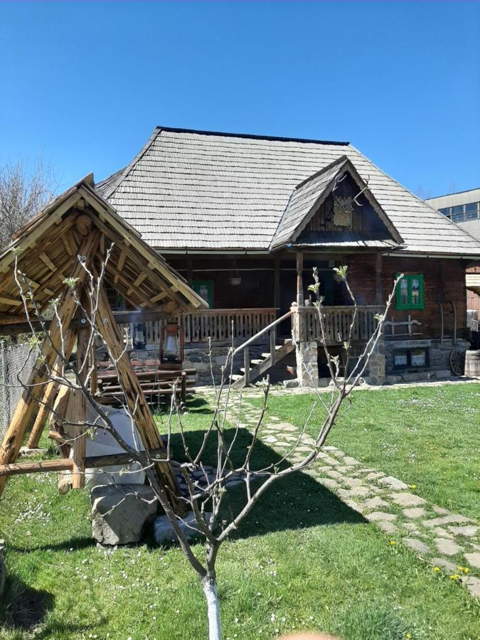 Pajisti Verzi / Green Meadows Guest House Vişeu de Sus Exterior foto