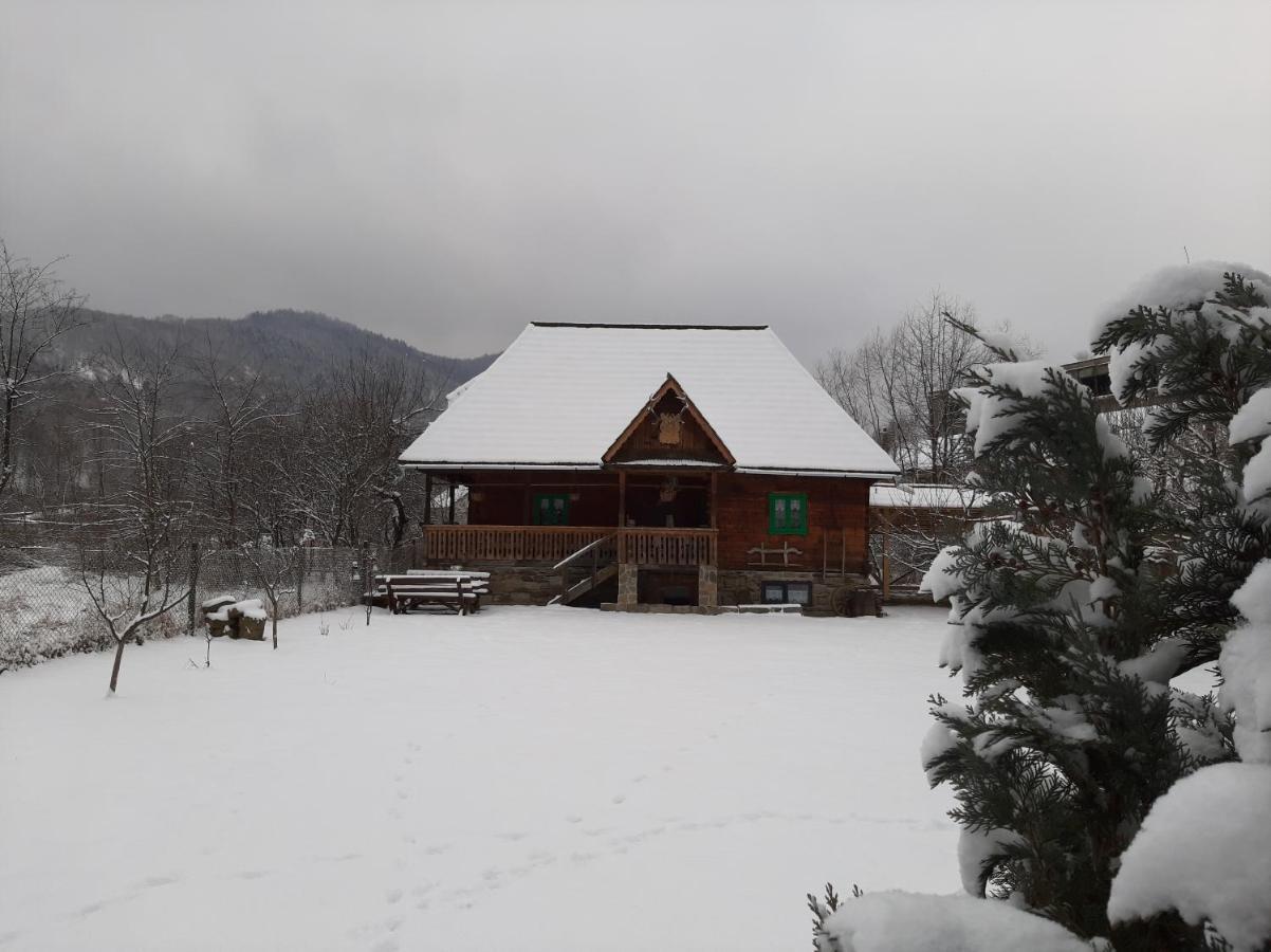 Pajisti Verzi / Green Meadows Guest House Vişeu de Sus Exterior foto