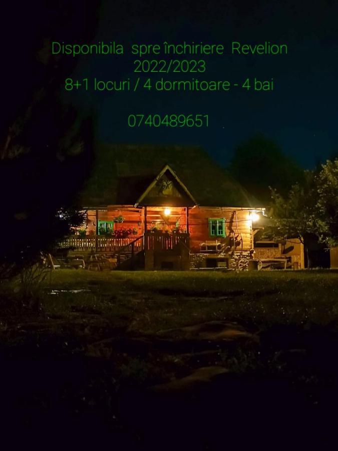 Pajisti Verzi / Green Meadows Guest House Vişeu de Sus Exterior foto