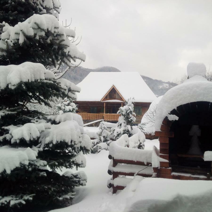 Pajisti Verzi / Green Meadows Guest House Vişeu de Sus Exterior foto