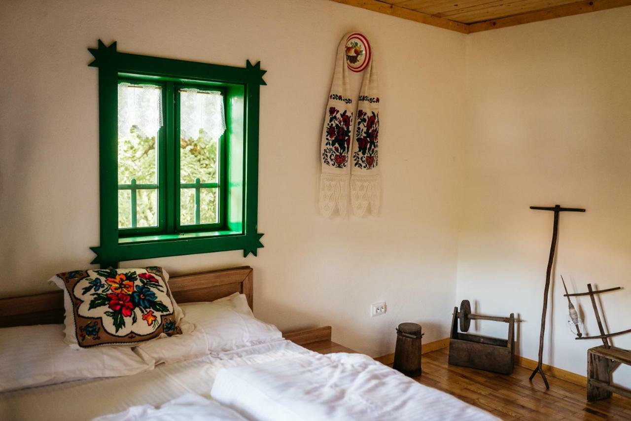 Pajisti Verzi / Green Meadows Guest House Vişeu de Sus Exterior foto