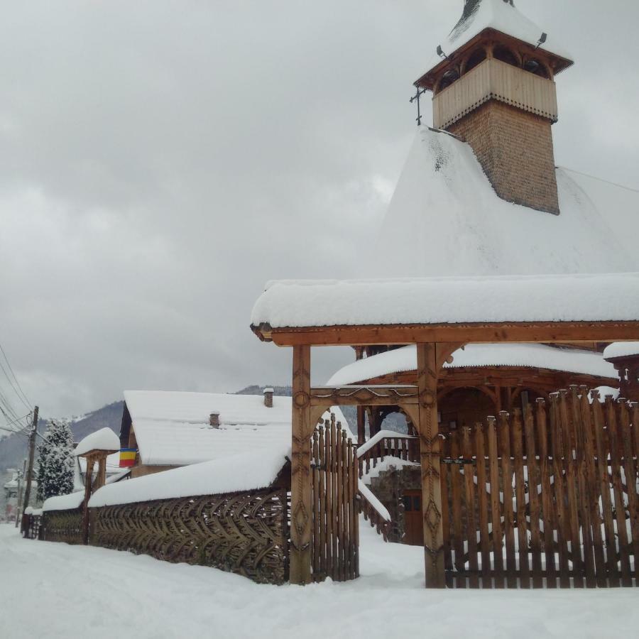 Pajisti Verzi / Green Meadows Guest House Vişeu de Sus Exterior foto