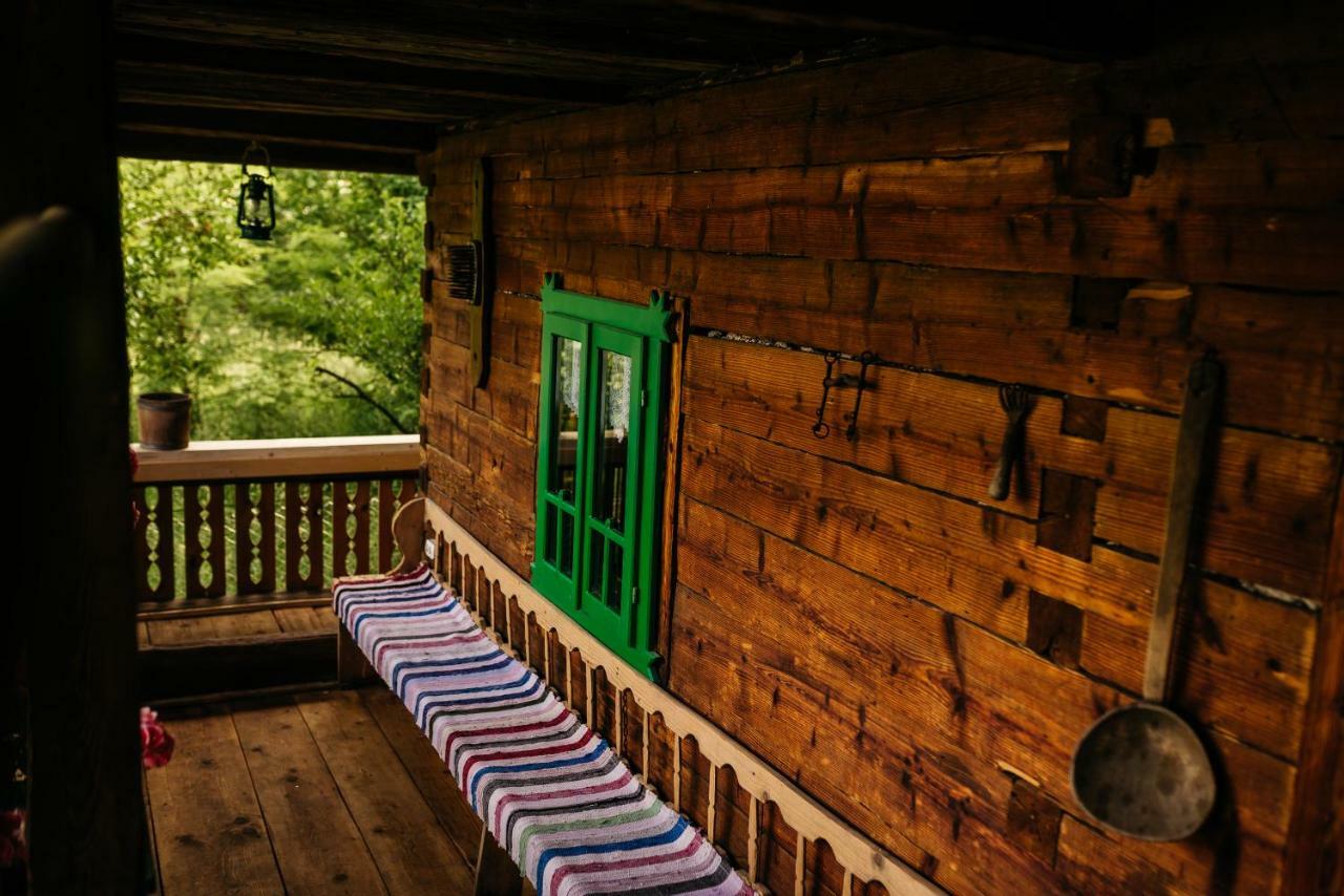 Pajisti Verzi / Green Meadows Guest House Vişeu de Sus Exterior foto