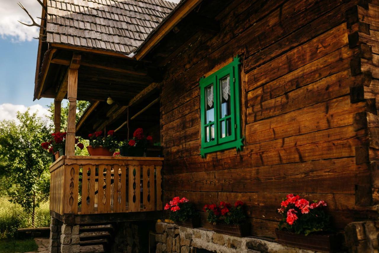 Pajisti Verzi / Green Meadows Guest House Vişeu de Sus Exterior foto