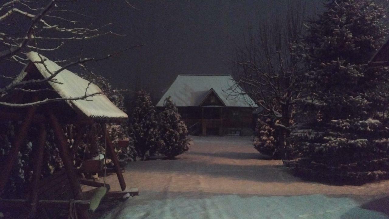 Pajisti Verzi / Green Meadows Guest House Vişeu de Sus Exterior foto