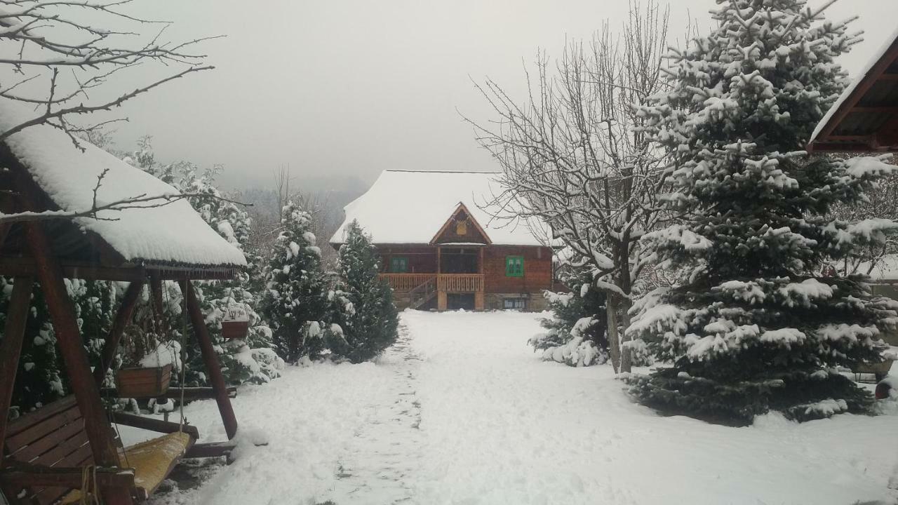 Pajisti Verzi / Green Meadows Guest House Vişeu de Sus Exterior foto