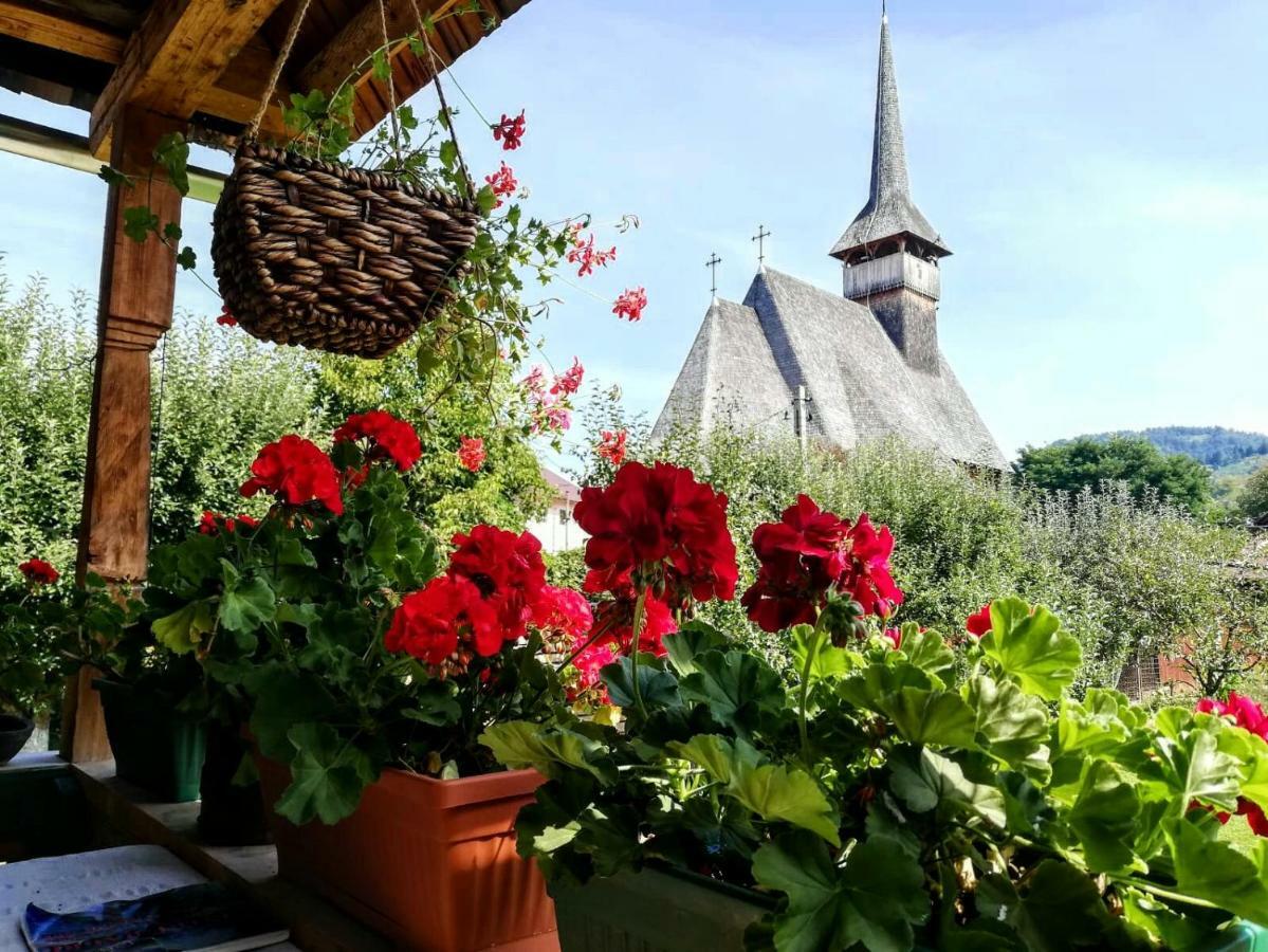 Pajisti Verzi / Green Meadows Guest House Vişeu de Sus Exterior foto