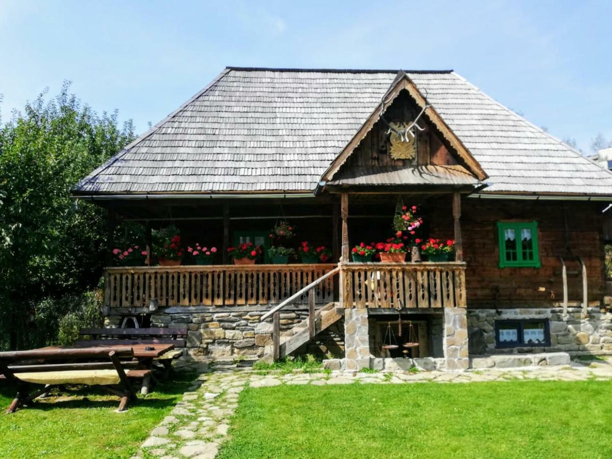 Pajisti Verzi / Green Meadows Guest House Vişeu de Sus Exterior foto