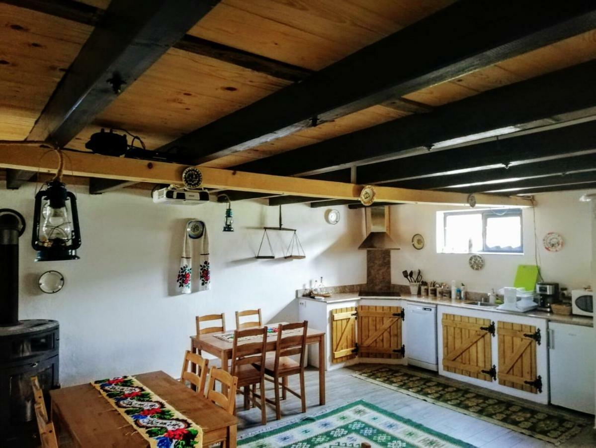 Pajisti Verzi / Green Meadows Guest House Vişeu de Sus Exterior foto